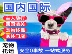 兰州机场货运国际宠物托运 【国